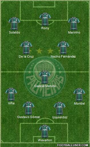 SE Palmeiras Formation 2021