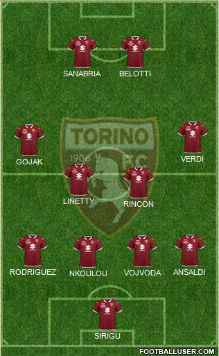 Torino Formation 2021