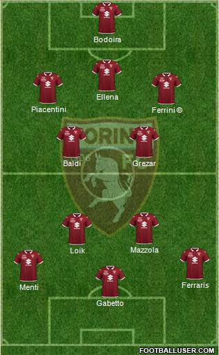 Torino Formation 2021