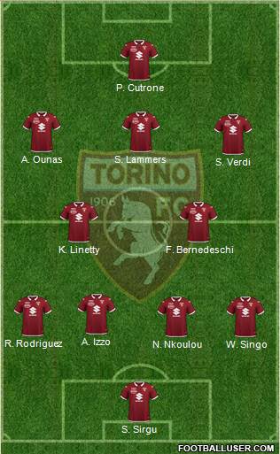 Torino Formation 2021