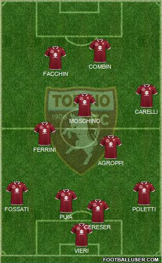 Torino Formation 2021