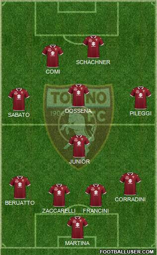 Torino Formation 2021