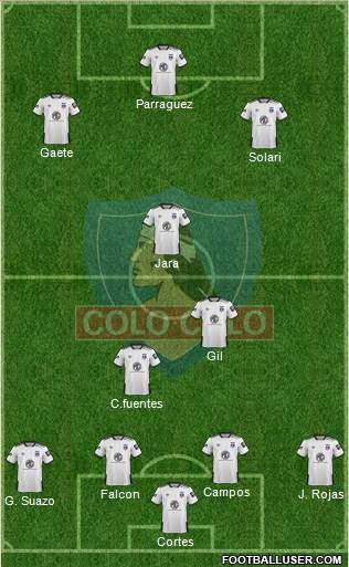 CSD Colo Colo Formation 2021