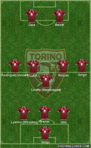 Torino Formation 2021