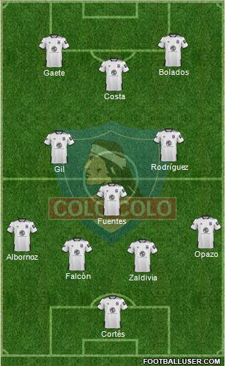 CSD Colo Colo Formation 2021