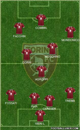 Torino Formation 2021