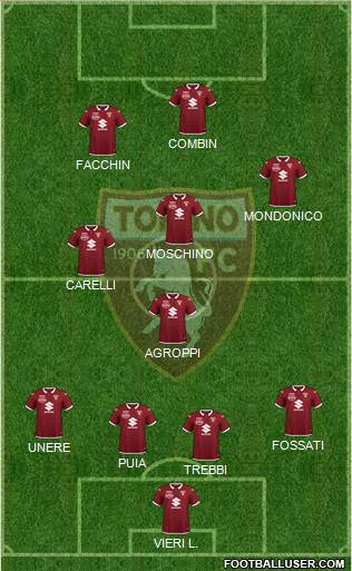 Torino Formation 2021