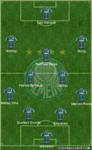 SE Palmeiras Formation 2021