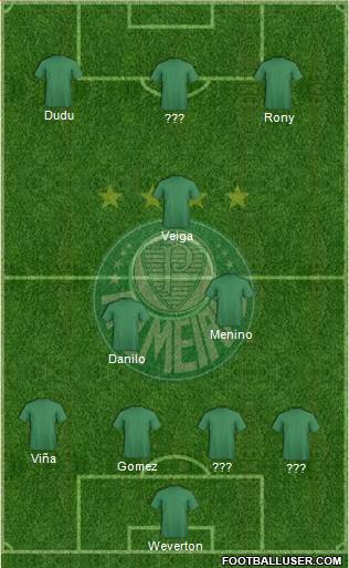 SE Palmeiras Formation 2021