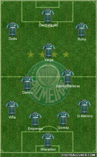 SE Palmeiras Formation 2021