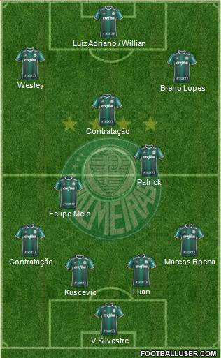 SE Palmeiras Formation 2021