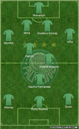 SE Palmeiras Formation 2021