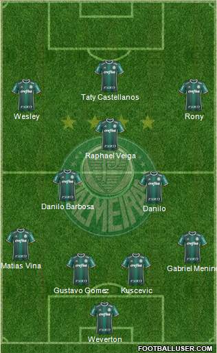 SE Palmeiras Formation 2021