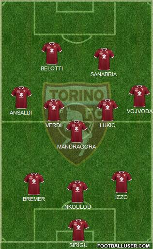 Torino Formation 2021