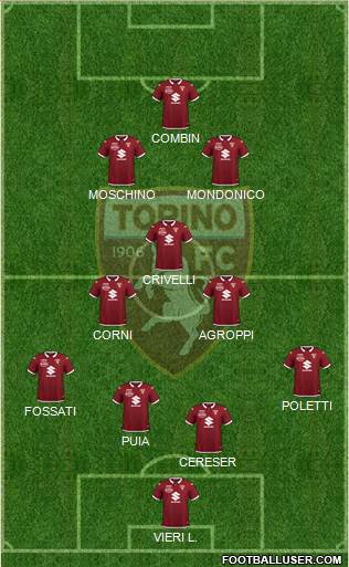 Torino Formation 2021