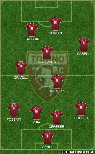 Torino Formation 2021