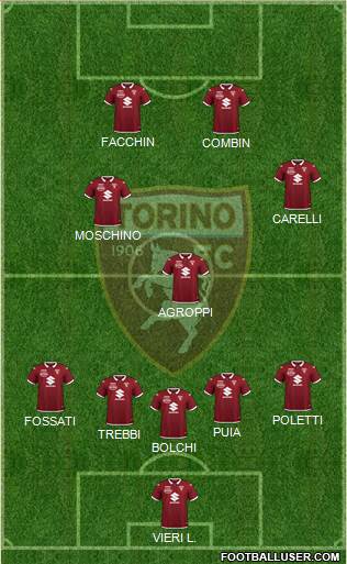 Torino Formation 2021