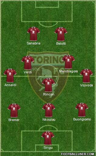 Torino Formation 2021