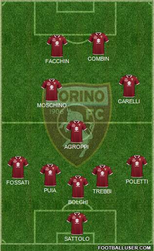 Torino Formation 2021