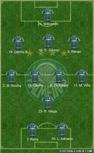 SE Palmeiras Formation 2021