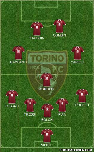 Torino Formation 2021