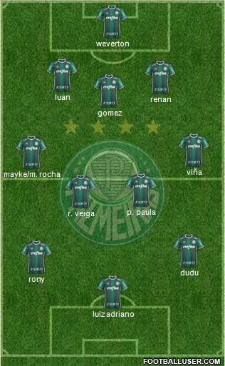 SE Palmeiras Formation 2021