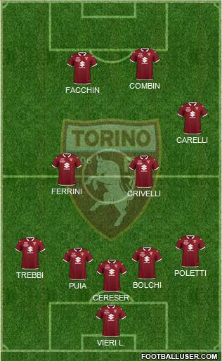 Torino Formation 2021