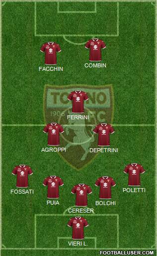 Torino Formation 2021