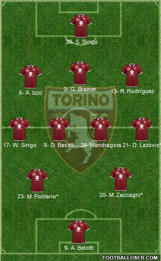 Torino Formation 2021