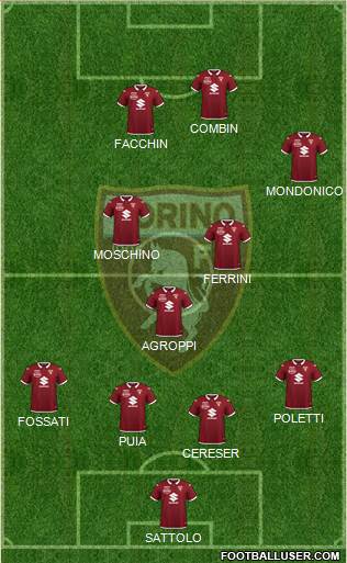 Torino Formation 2021