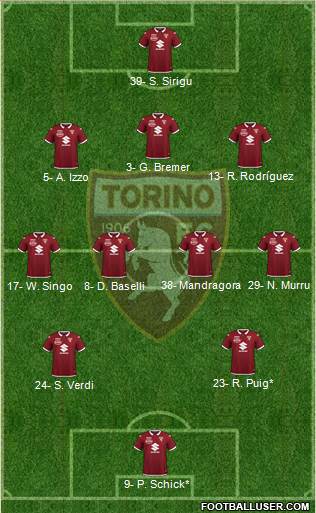 Torino Formation 2021