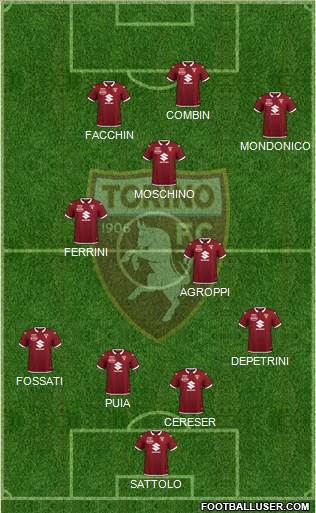 Torino Formation 2021