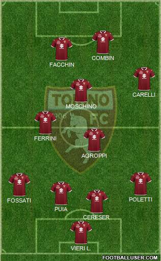 Torino Formation 2021