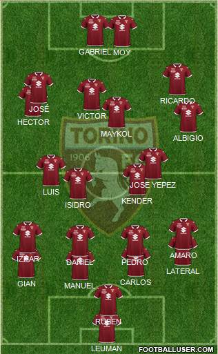 Torino Formation 2021