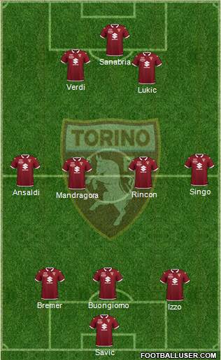 Torino Formation 2021