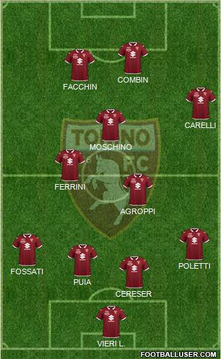 Torino Formation 2021