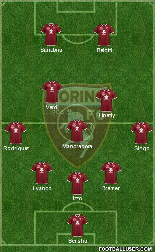 Torino Formation 2021