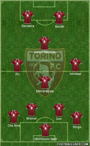 Torino Formation 2021