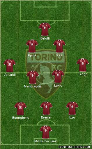 Torino Formation 2021