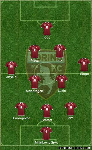 Torino Formation 2021