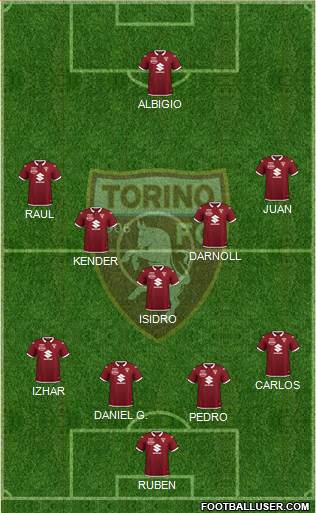 Torino Formation 2021