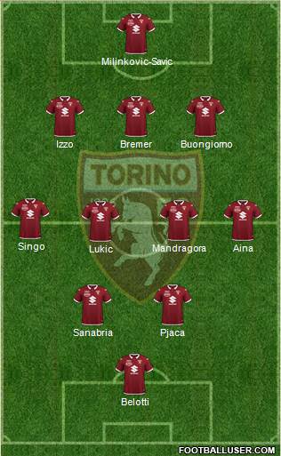 Torino Formation 2021