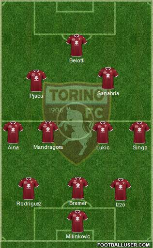 Torino Formation 2021