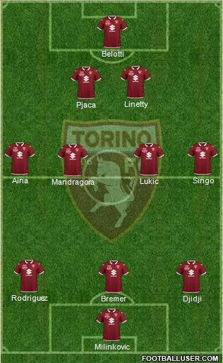 Torino Formation 2021