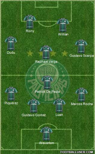 SE Palmeiras Formation 2021