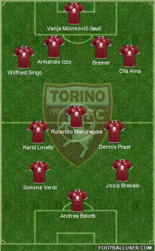 Torino Formation 2021