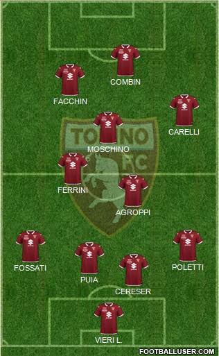 Torino Formation 2021