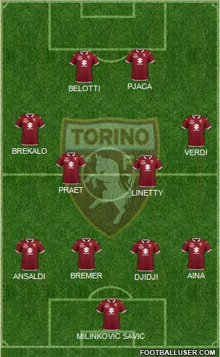 Torino Formation 2021