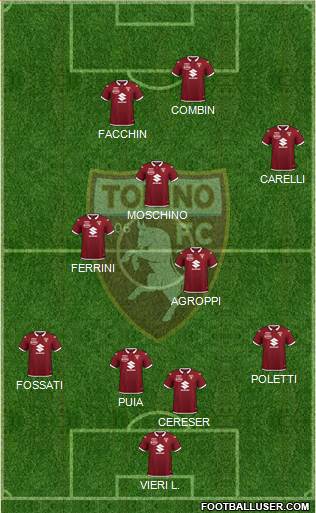 Torino Formation 2021