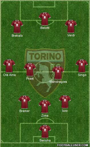 Torino Formation 2021